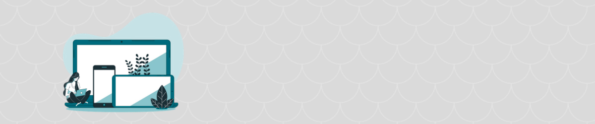 El LCP es uno de los tipos de Coreweb